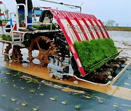 �������ܷ��